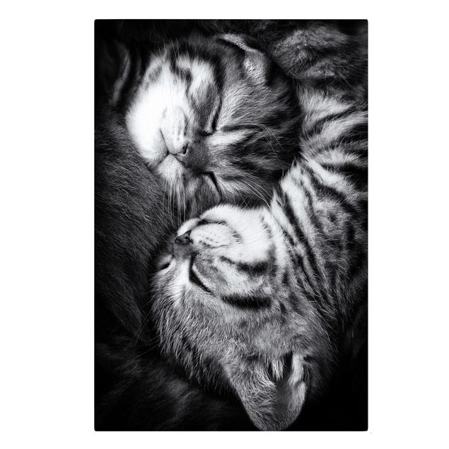 Billeder på lærred sort og hvid Two Kittens