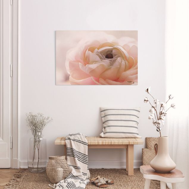 Billeder på lærred roser Focus On Light Pink Flower