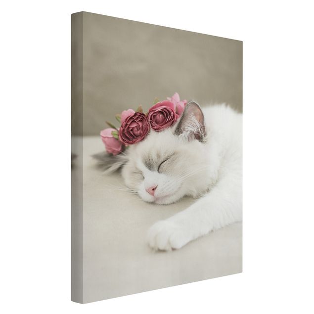 Billeder katte Sleeping Cat with Roses