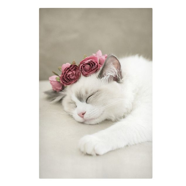 Billeder på lærred blomster Sleeping Cat with Roses
