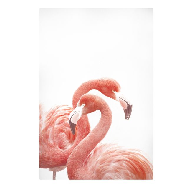 Billeder moderne Two Flamingos