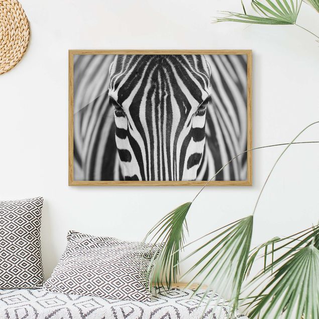Billeder zebraer Zebra Look