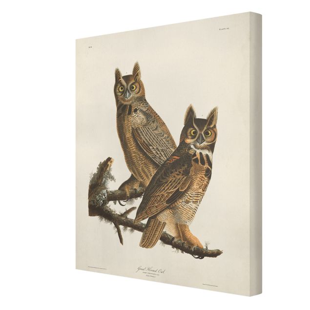 Billeder brun Vintage Board Two Large Owls