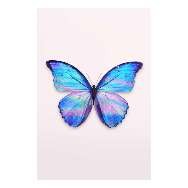 Glasbilleder dyr Holographic Butterfly