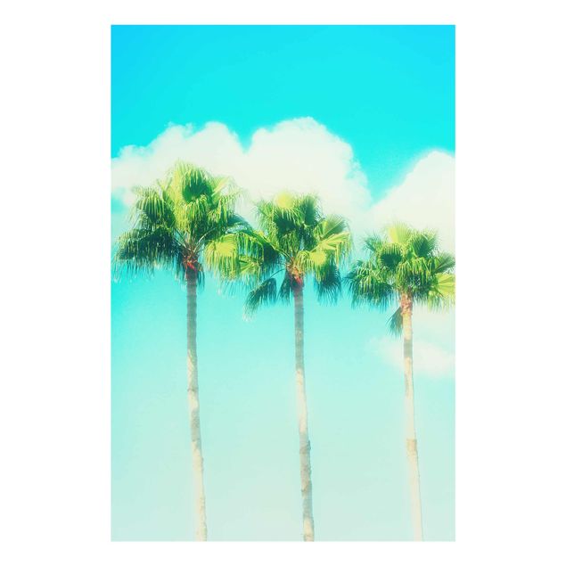 Billeder blomster Palm Trees Against Blue Sky