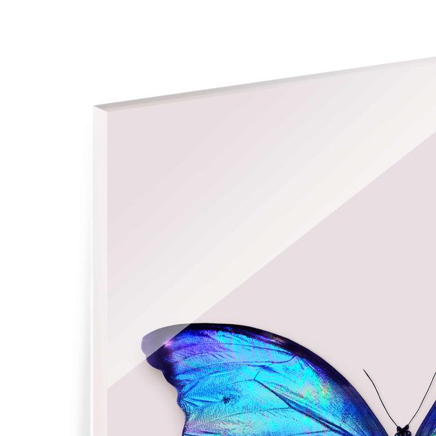 Billeder moderne Holographic Butterfly