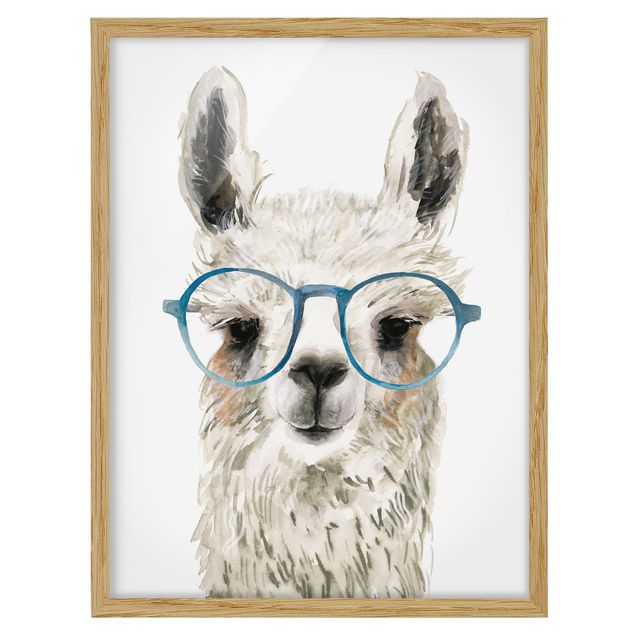 Billeder moderne Hip Lama With Glasses III
