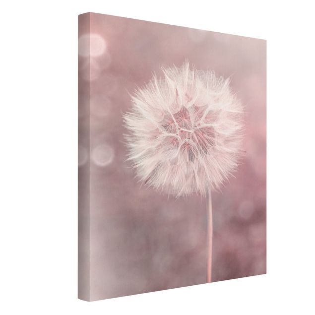 Billeder på lærred blomster Dandelion Bokeh Light Pink