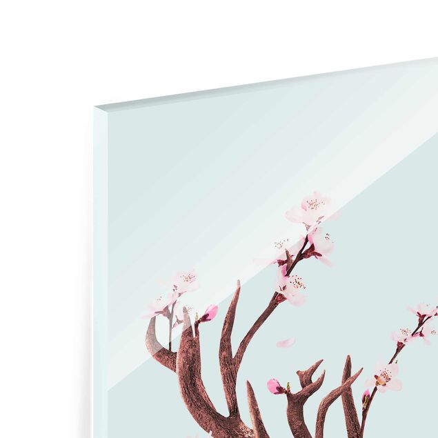 Billeder turkis Deer With Cherry Blossoms