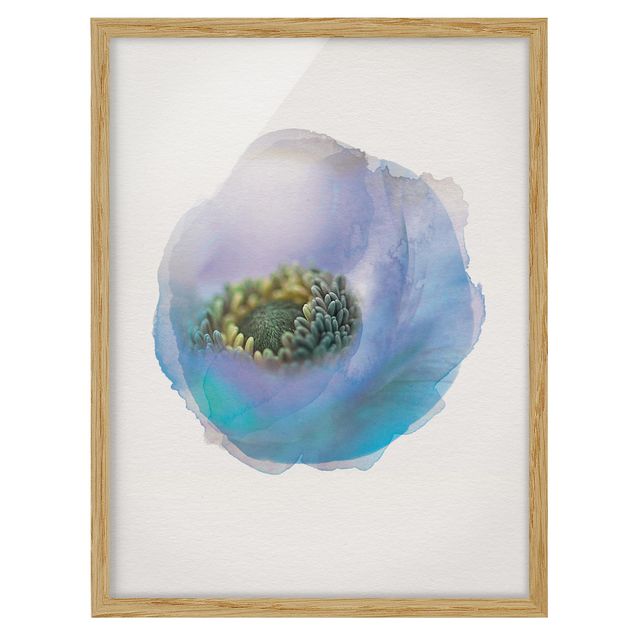 Billeder blomster WaterColours - Anemone On The River