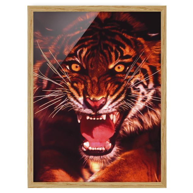 Billeder moderne Wild Tiger