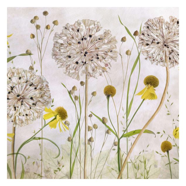 Tapet Allium And Helenium Illustration