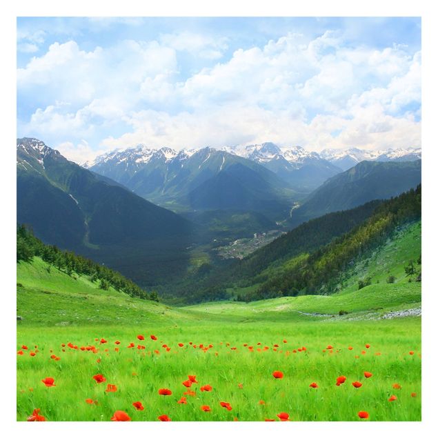 Fototapet landskaber Alpine Meadow