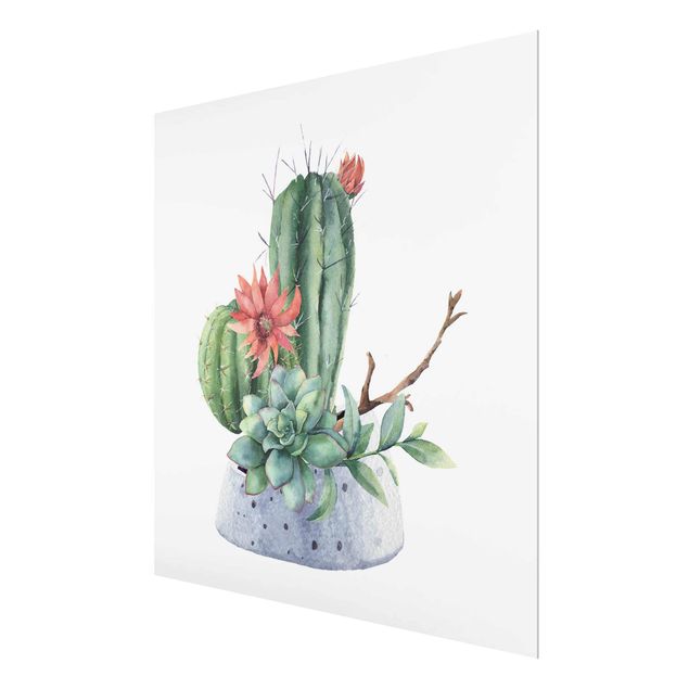 Billeder Watercolour Cacti Illustration