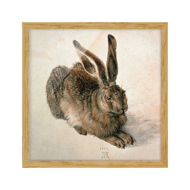 Billeder kunsttryk Albrecht Dürer - Young Hare
