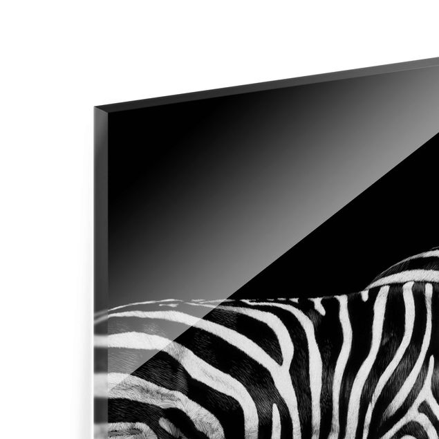 Billeder Zebra In The Dark