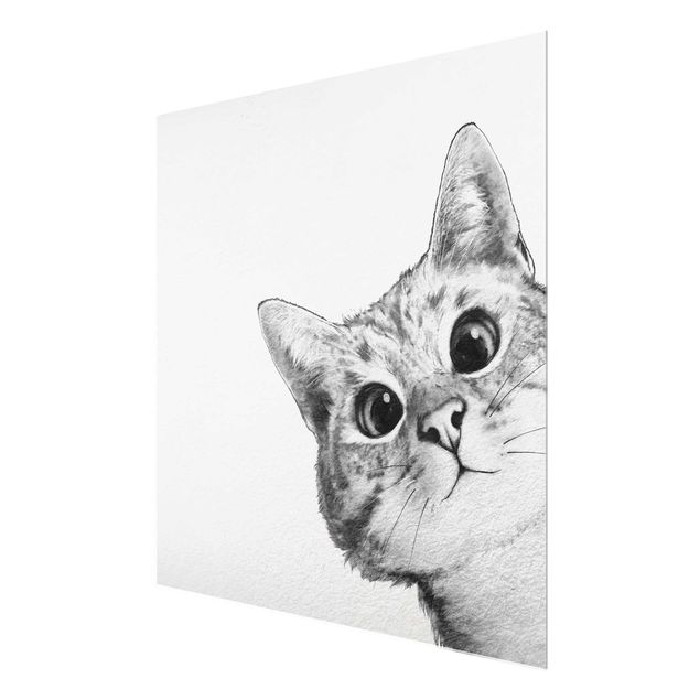 Glasbilleder dyr Illustration Cat Drawing Black And White