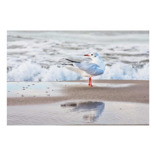 Billeder hav Seagull On The Beach In Front Of The Sea