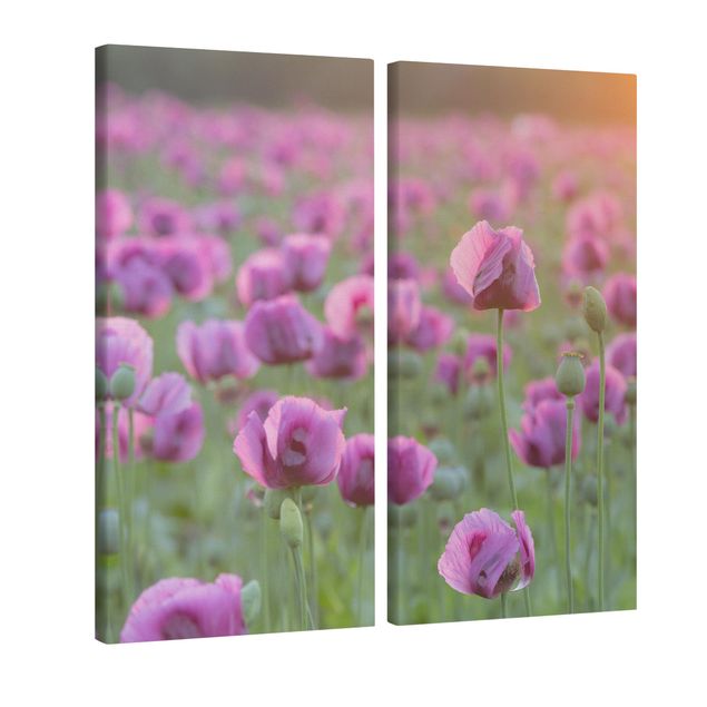 Billeder på lærred bjerge Purple Poppy Flower Meadow In Spring