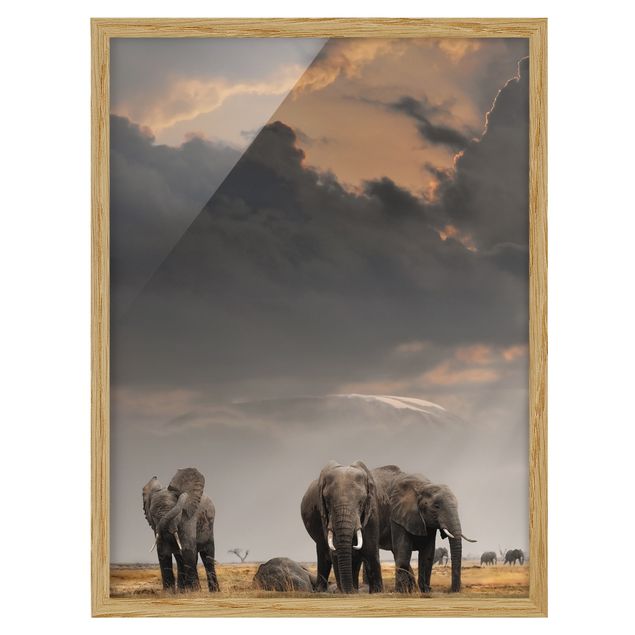 Indrammede plakater landskaber Elephants in the Savannah