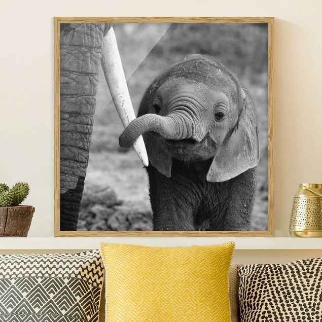 køkken dekorationer Baby Elephant