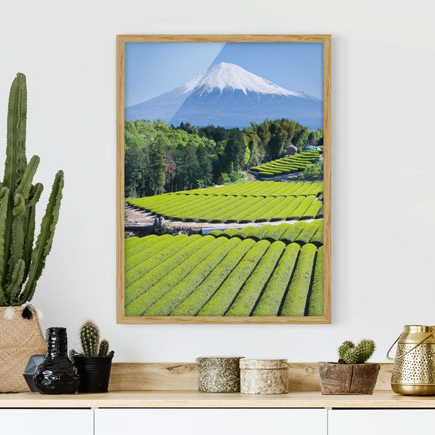 køkken dekorationer Tea Fields In Front Of The Fuji
