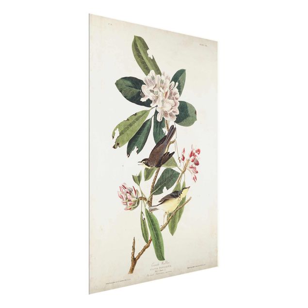 Billeder blomster Vintage Board Warbler