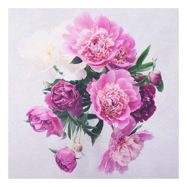 Billeder blomster Peonies Shabby Pink White