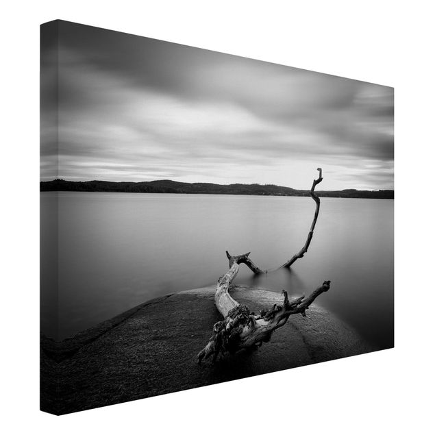 Billeder på lærred sort og hvid Sunset In Black And White By The Lake