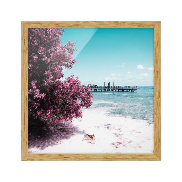Billeder landskaber Paradise Beach Isla Mujeres