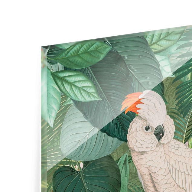 Billeder Vintage Collage - Kakadu And Hummingbird