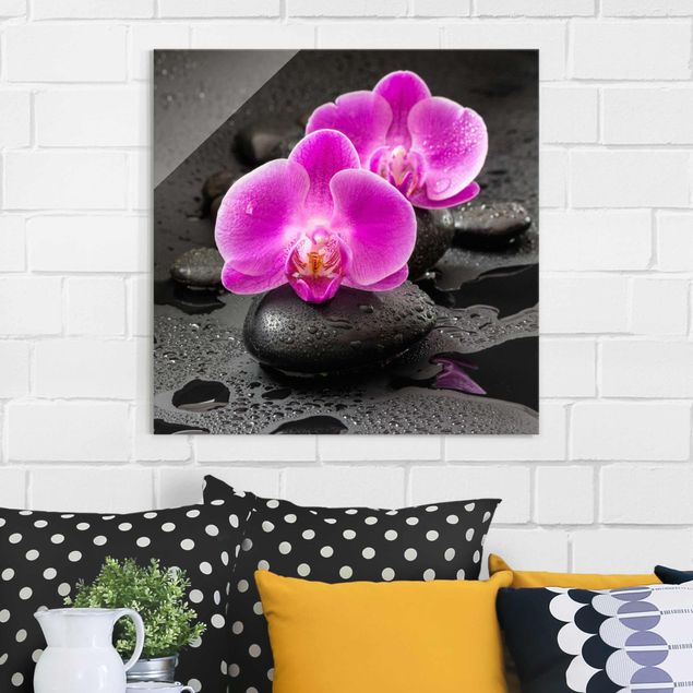 Glasbilleder orkideer Pink Orchid Flower On Stones With Drops
