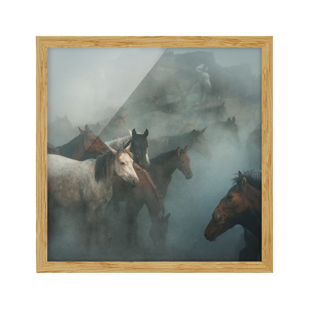 Billeder moderne Wild Horses