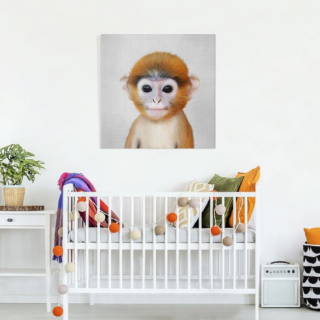 Billeder aber Baby Monkey Anton