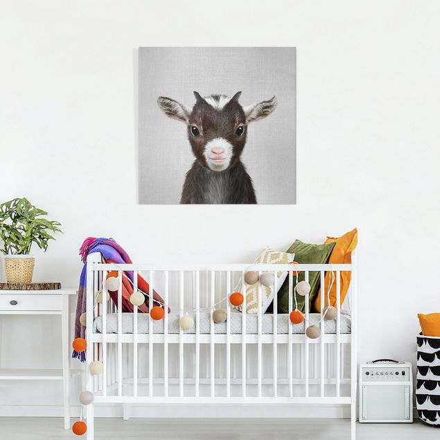 Billeder på lærred sort og hvid Baby Goat Zelda