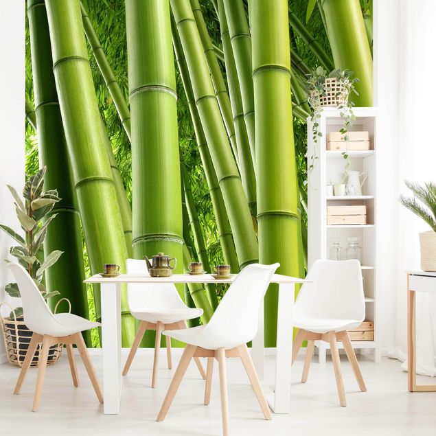 Tapet moderne Bamboo Trees