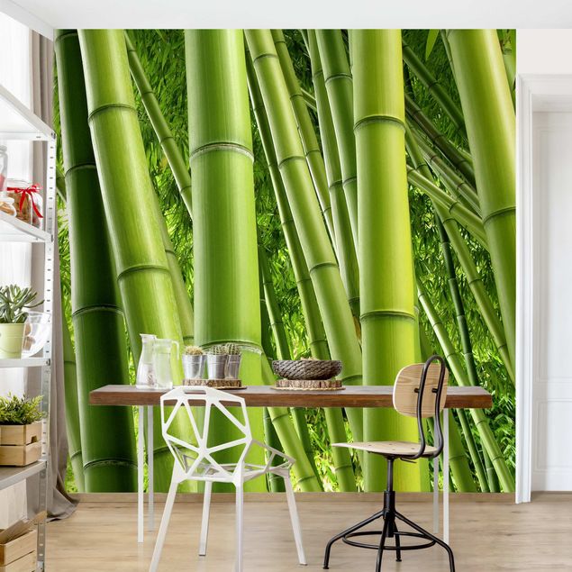 Fototapet landskaber Bamboo Trees