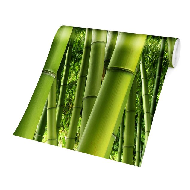 Grøn tapet Bamboo Trees
