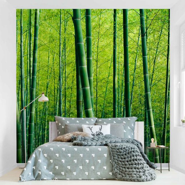 3d tapet Bamboo Forest