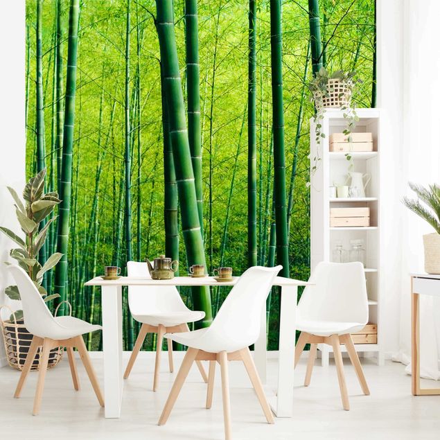 Moderne tapet Bamboo Forest