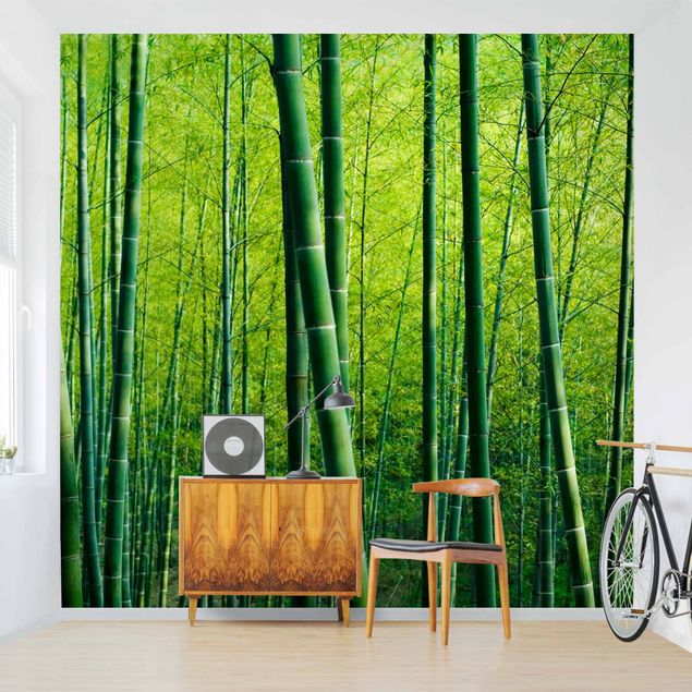 Fototapet landskaber Bamboo Forest
