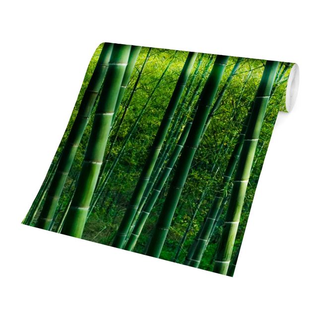 Tapet grøn Bamboo Forest