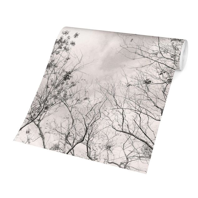 Fototapet grå Treetops In The Sky In Warm Grey