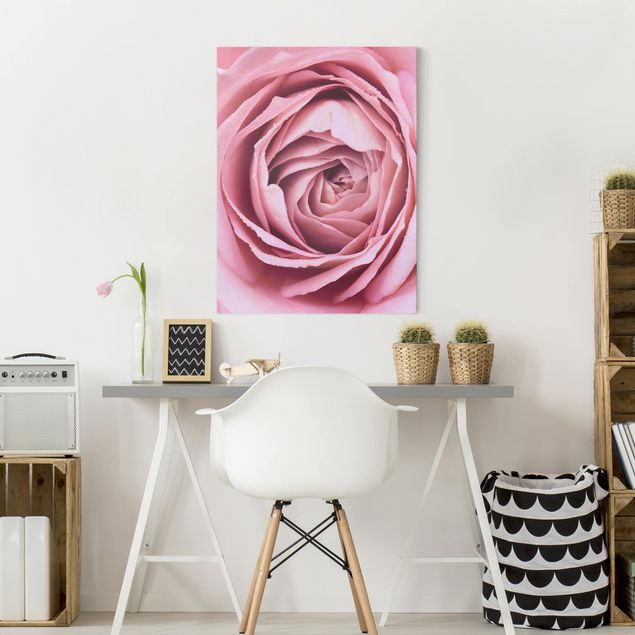 Billeder på lærred blomster Pink Rose Blossom