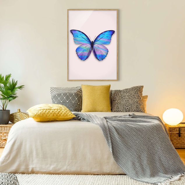 Billeder sommerfugle Holographic Butterfly