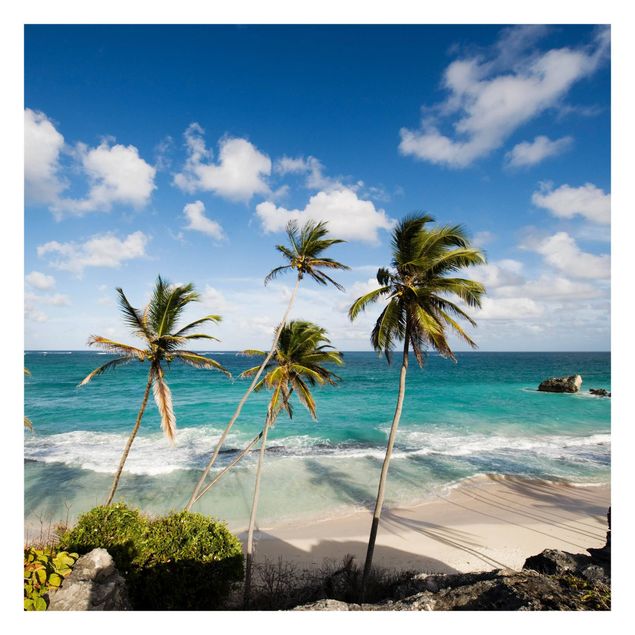 Fototapet landskaber Beach Of Barbados