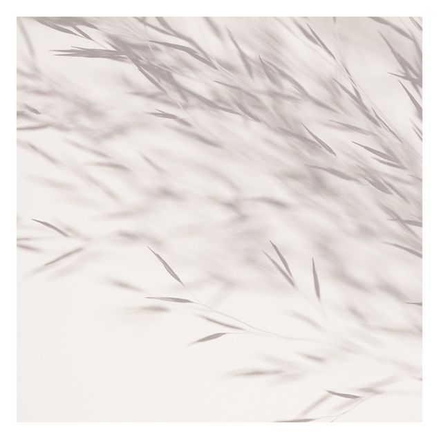 Billeder Monika Strigel Enchanting Meadow Grasses