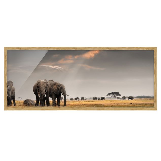 Indrammede plakater landskaber Elephants in the Savannah
