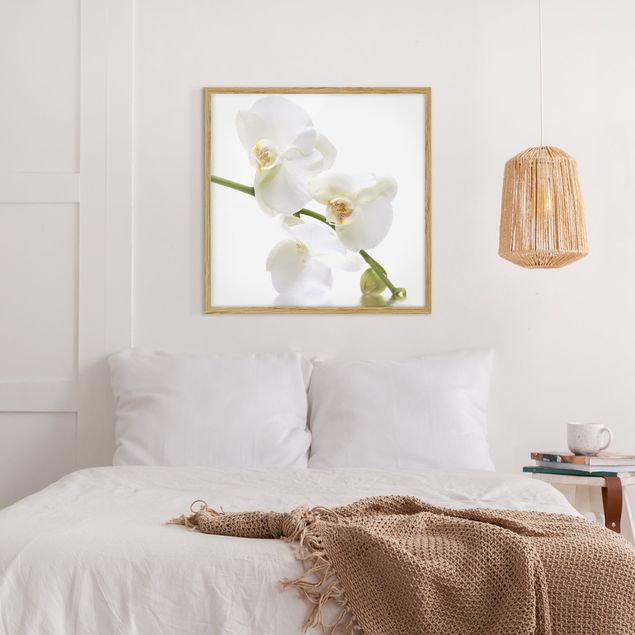 Indrammede plakater blomster White Orchid Waters