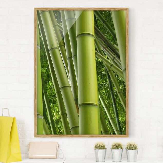 Billeder bambus Bamboo Trees No.2